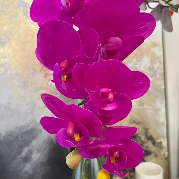 36&quot; PHALAENOPSIS ORCHID STEM - FUCHSIA