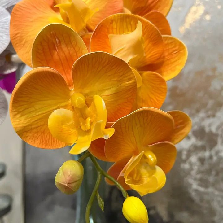 36&quot; REAL TOUCH PHALAENOPSIS ORCHID STEM - ORANGE