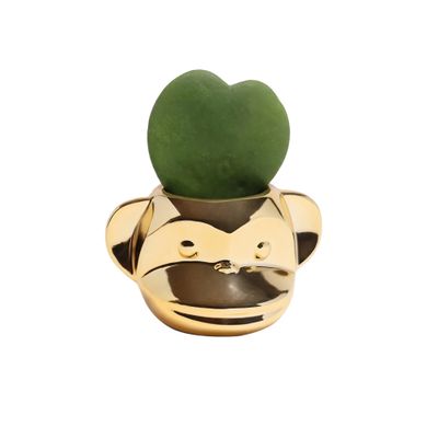 FUNKY MONKEY PLANTER - GOLD