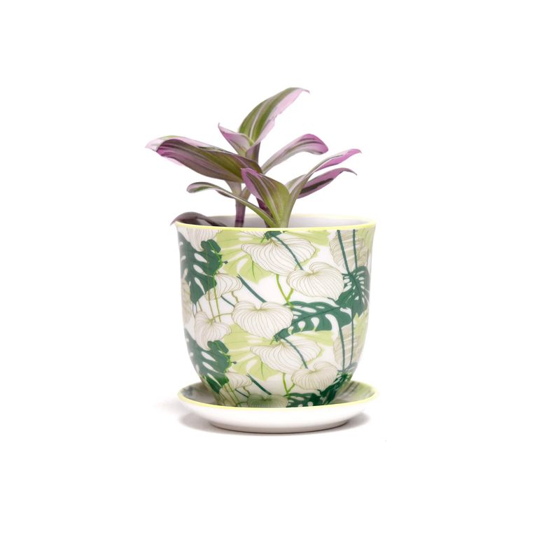 LIBERTE 5 PORCELAIN 4.25&quot; POT AND SAUCER W/ DRAINAGE - MONSTERA