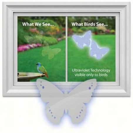 BUTTERFLY WINDOW DECAL TO DETER BIRDS