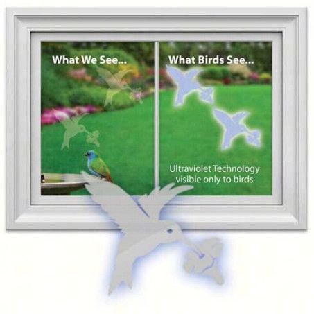 HUMMINGBIRD WINDOW DECAL