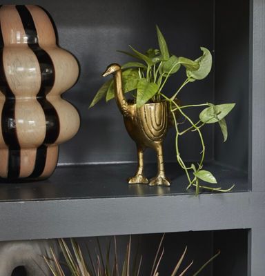 Ostrich Planter