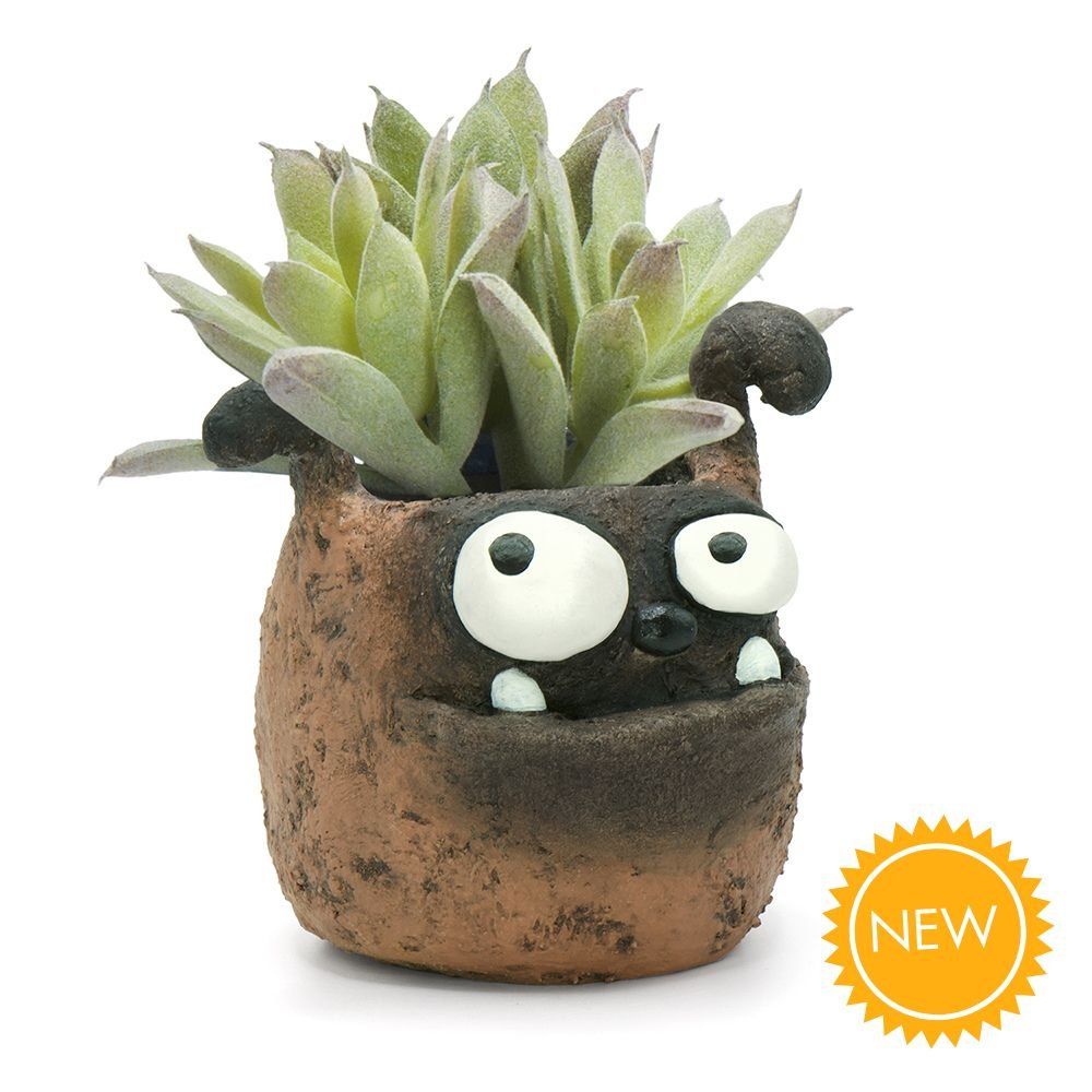DUKE BOXER DOG PLANTER