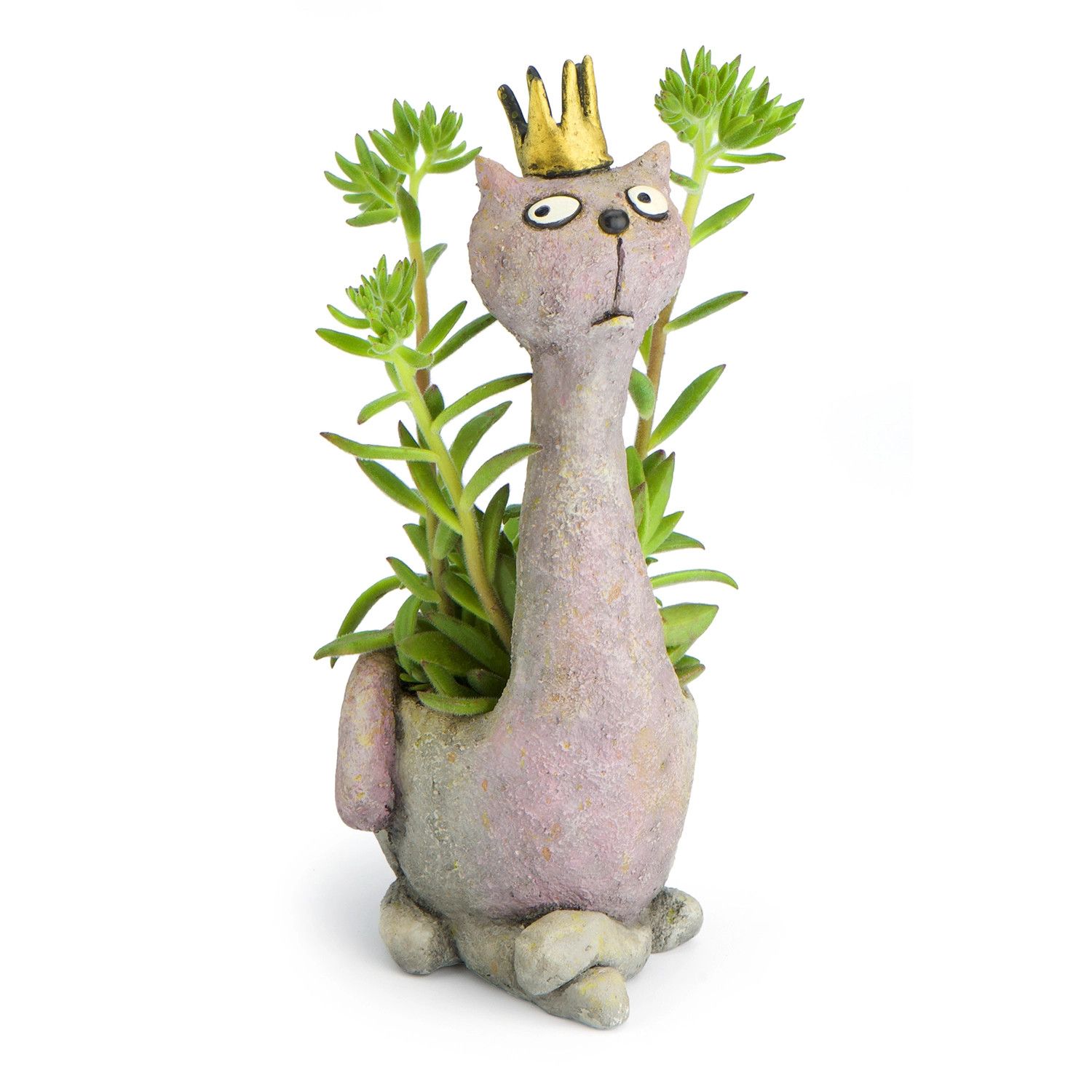 MASIE - CAT PLANTER