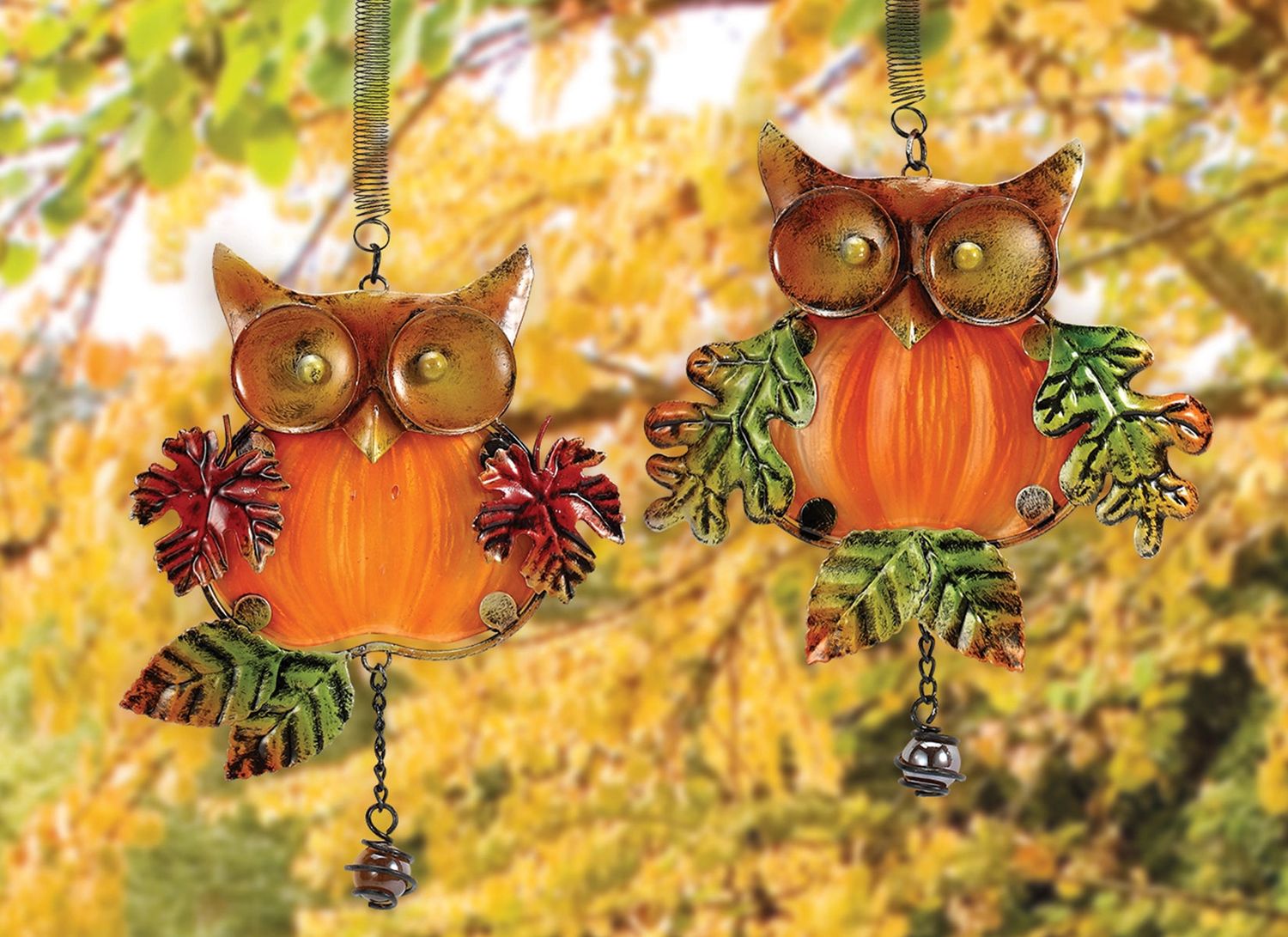 13786 FALL OWL BOUNCY