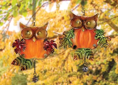 13786 FALL OWL BOUNCY