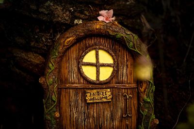 FD001 Fairy Door and Windows For Trees – Glow in the Dark Yard Art