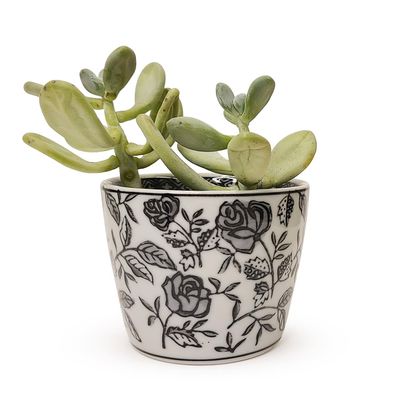 Black and White Canton Collection 2 3/4&quot; H Cachepot - Assorted