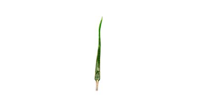 FLOWER LEAF TALL