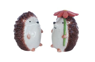 HEDGEHOG SALT &amp; PEPPER SET