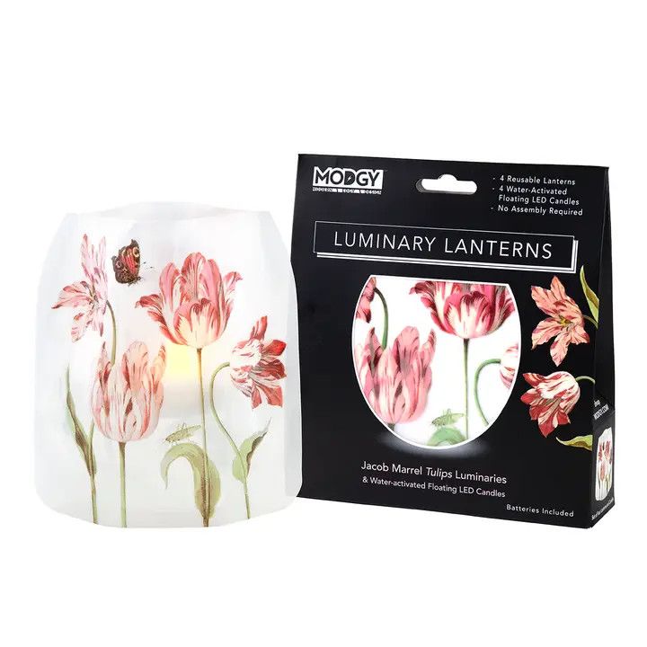MODGY Luminary Lantern - Jacob Marrell Tulips