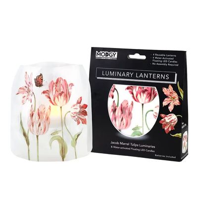MODGY Luminary Lantern - Jacob Marrell Tulips