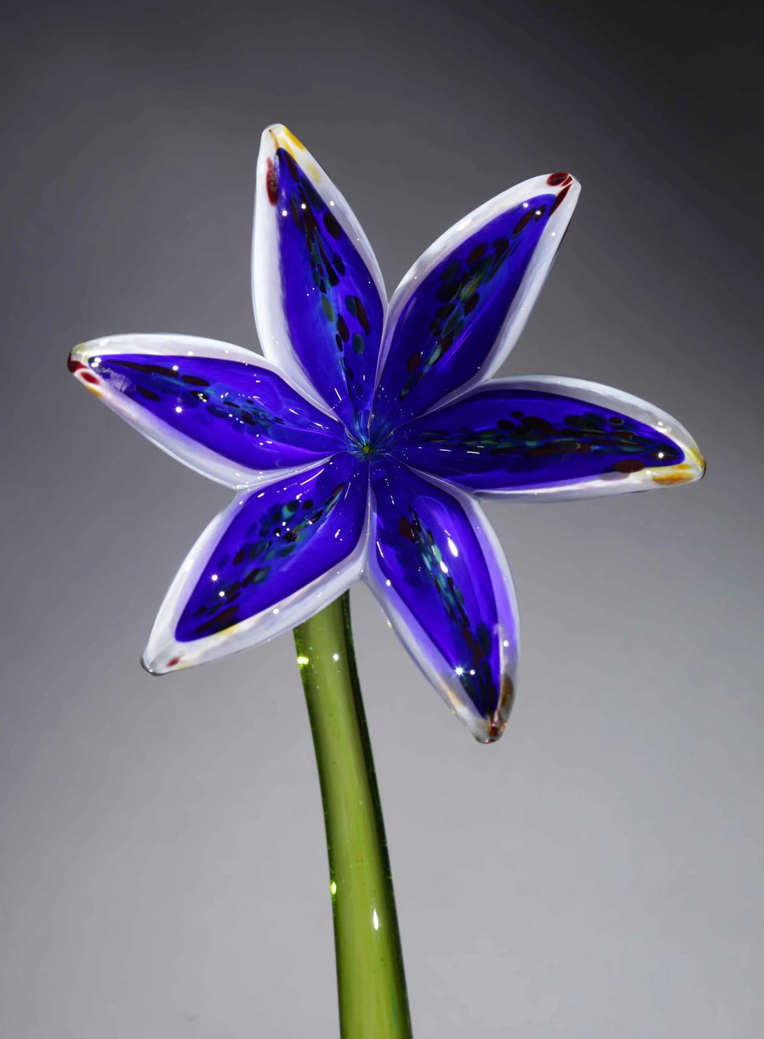 GLASS LILY, Color: WHITE/COBALT