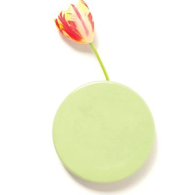 WALL DOT VASE, Color: GREEN