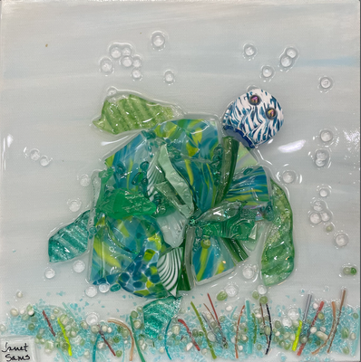 TURTLE - GREEN FINS 10 X 10