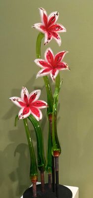 GLASS LILY
