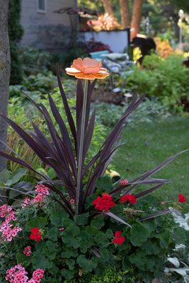 BUTTERCUP ACRYLIC GARDEN STAKE - 18" ORANGE