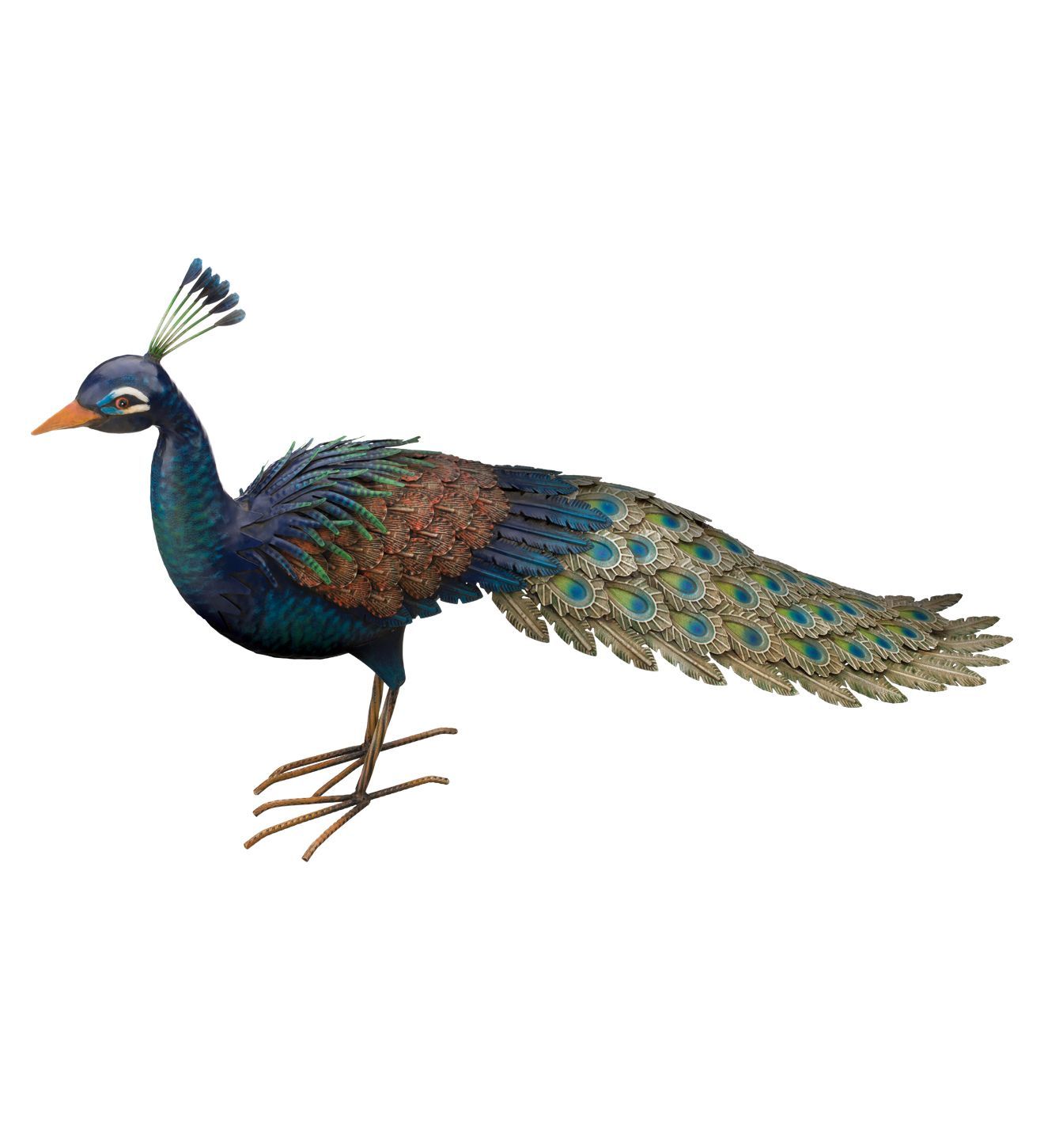 PEACOCK DECOR - ROAMER