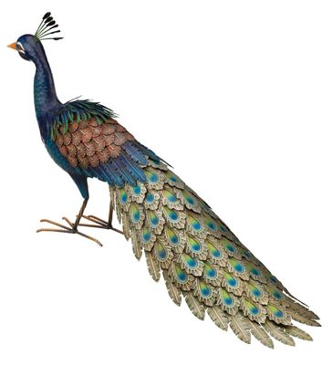 PEACOCK DECOR - ROAMER