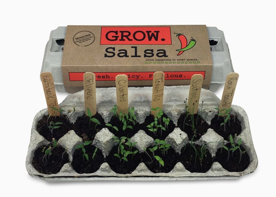 GROW KIT - SALSA