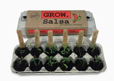 GROW KIT - SALSA