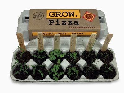 GROW KIT - PIZZA