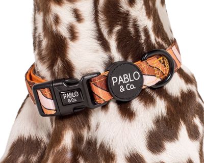 ESPRESSO SWIRLS DOG COLLAR