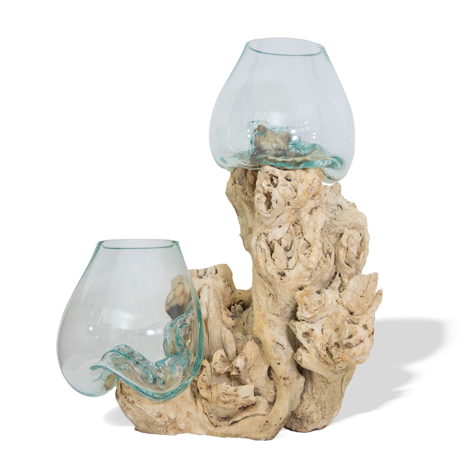 Double Large Root with Vase - Bleached