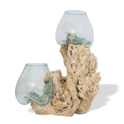 Double Large Root with Vase - Bleached