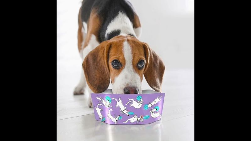 MODGY DOG BOWL SET