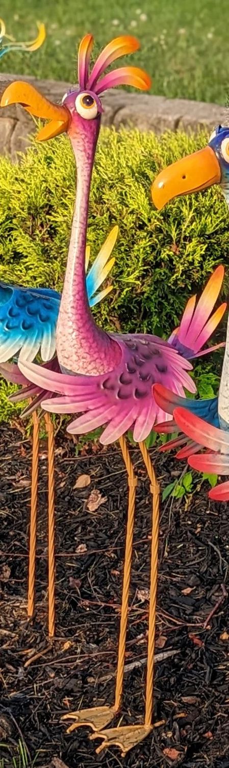 DODO BIRD, FUCHSIA