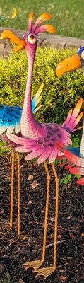 DODO BIRD, FUCHSIA