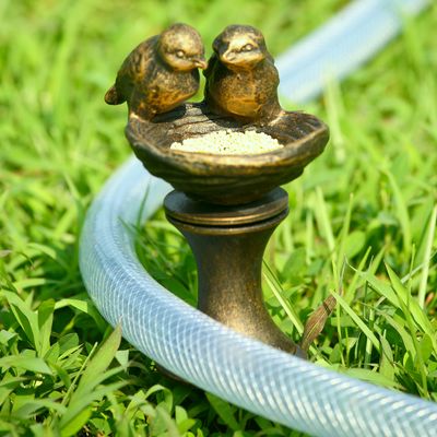 HOSE GUARD - LOVEBIRDS