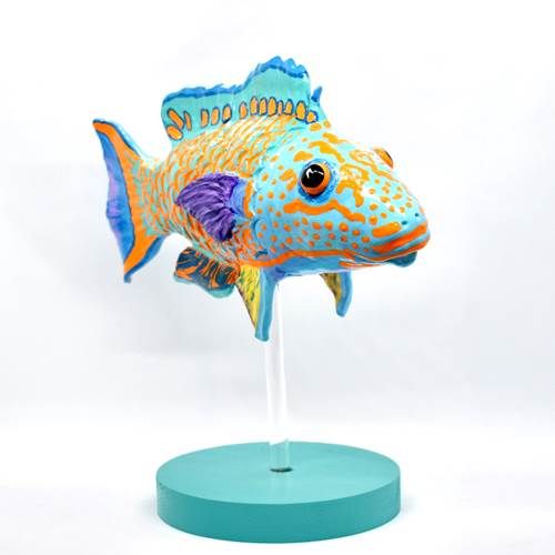 SPOTTED PARROTFISH ON STAND