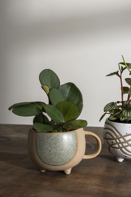 DAYLIGHT MUG