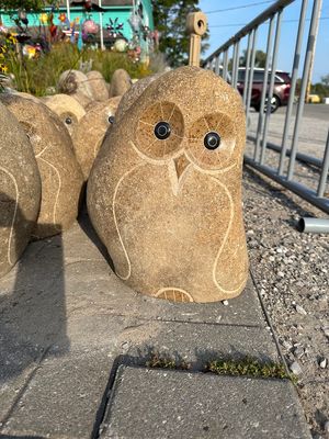 BOULDER OWL 12"