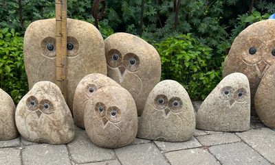 BOULDER OWL 14"