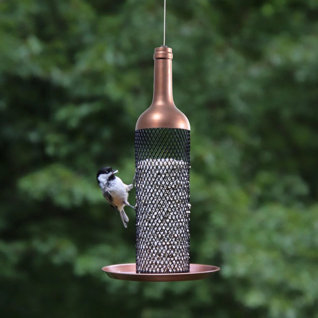 WINE BOTTLE BIRD FEEDER