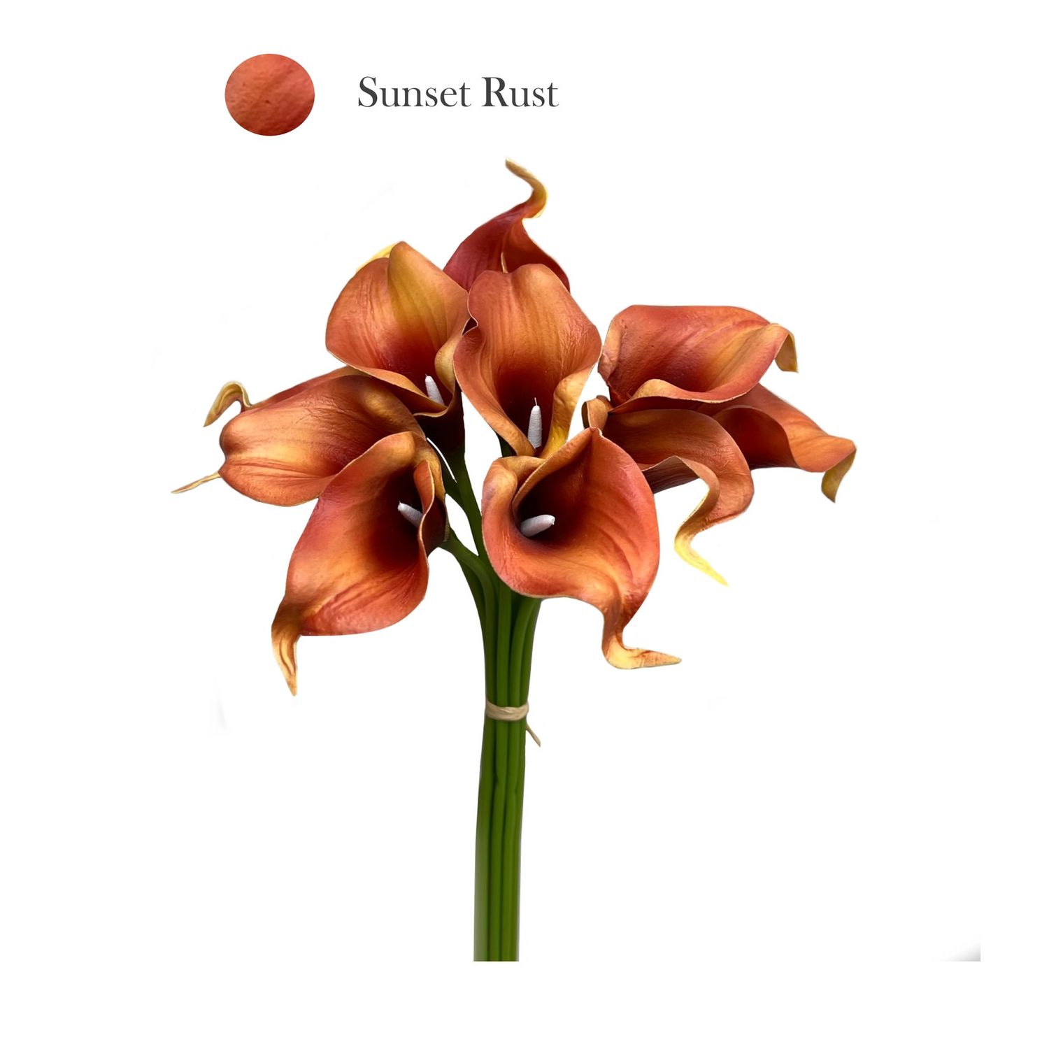 14&quot;-10 Stem Bundled Real Touch Sunset Orange Calla Lily