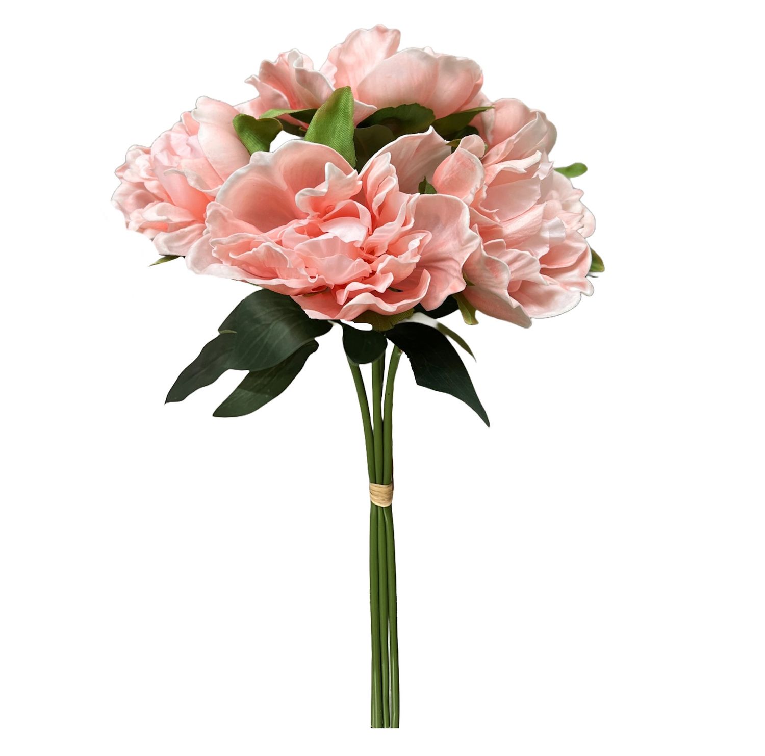 16&quot;-5-stem Bundled-Real Touch Peony Blossom - Soft Coral