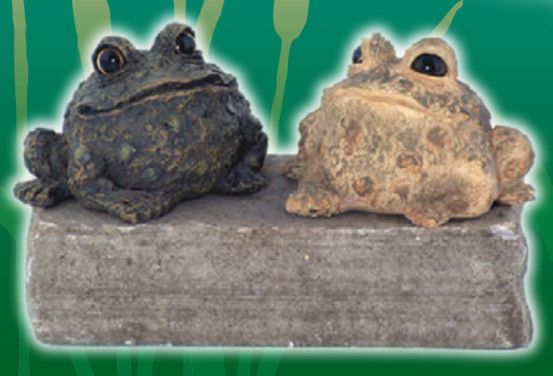 TOAD EXTRA SMALL 2.5&quot;, ASST