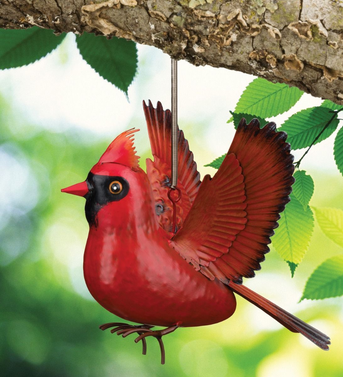 BIRD BOUNCIE - CARDINAL