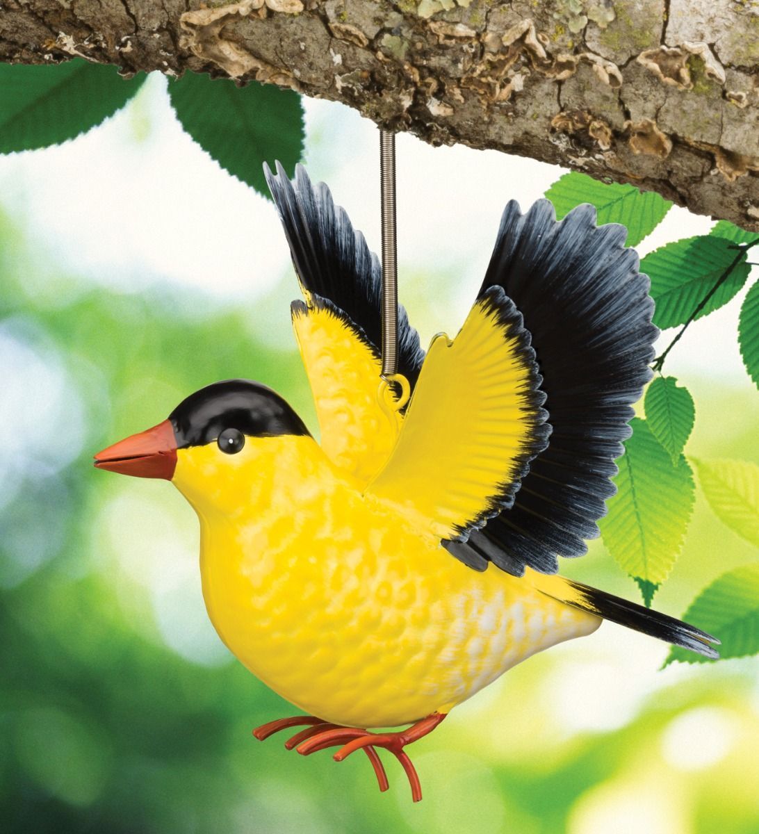 BIRD BOUNCIE - GOLD FINCH