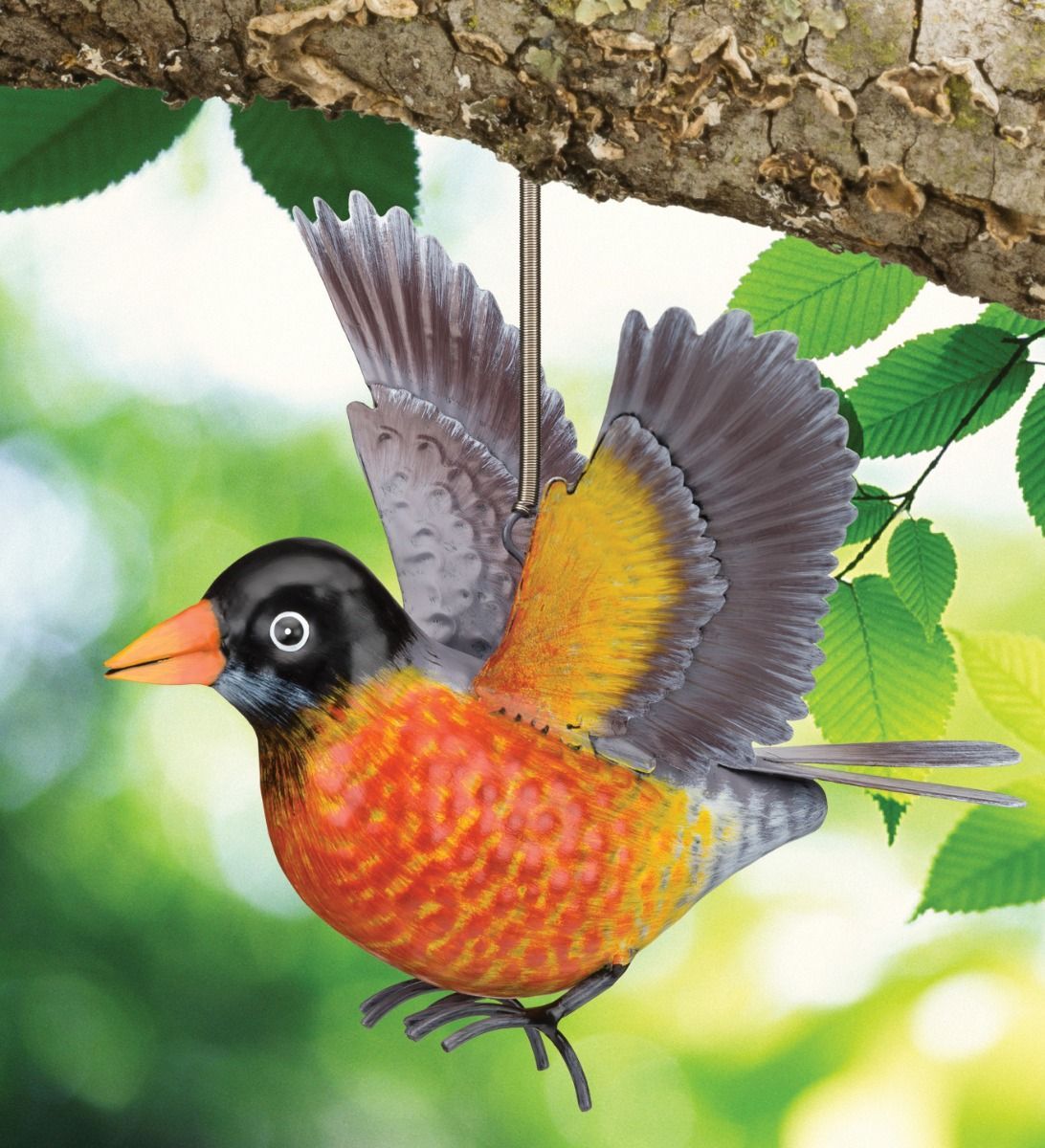 BIRD BOUNCIE - ROBIN