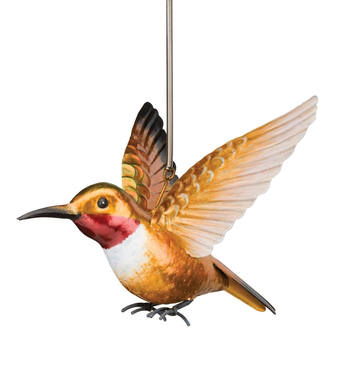 BIRD BOUNCIE - HUMMINGBIRD RUFOUS