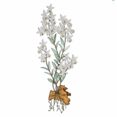 MM928W RADICAN ORCHID WHITE W/GAMAL WOOD WALL