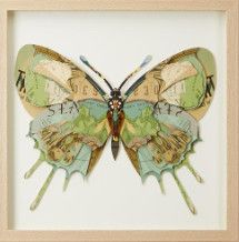 &quot;Golden Atlas&quot; Butterfly Collage Wall Art
