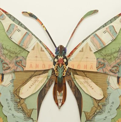 &quot;Terracotta Wings&quot; Butterfly Collage Wall Art