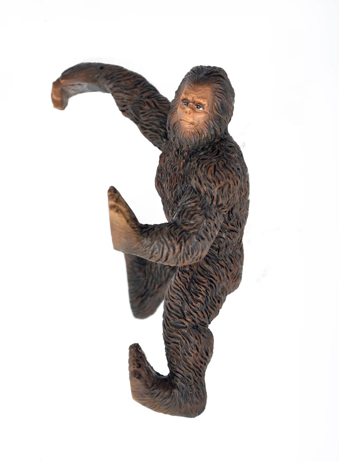 Bigfoot -  Hanging